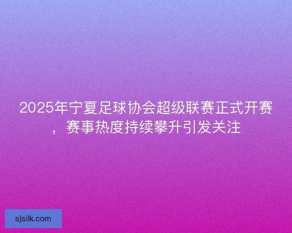 2025年宁夏足球协会超级联赛正式开赛，赛事热度持续攀升引发关注